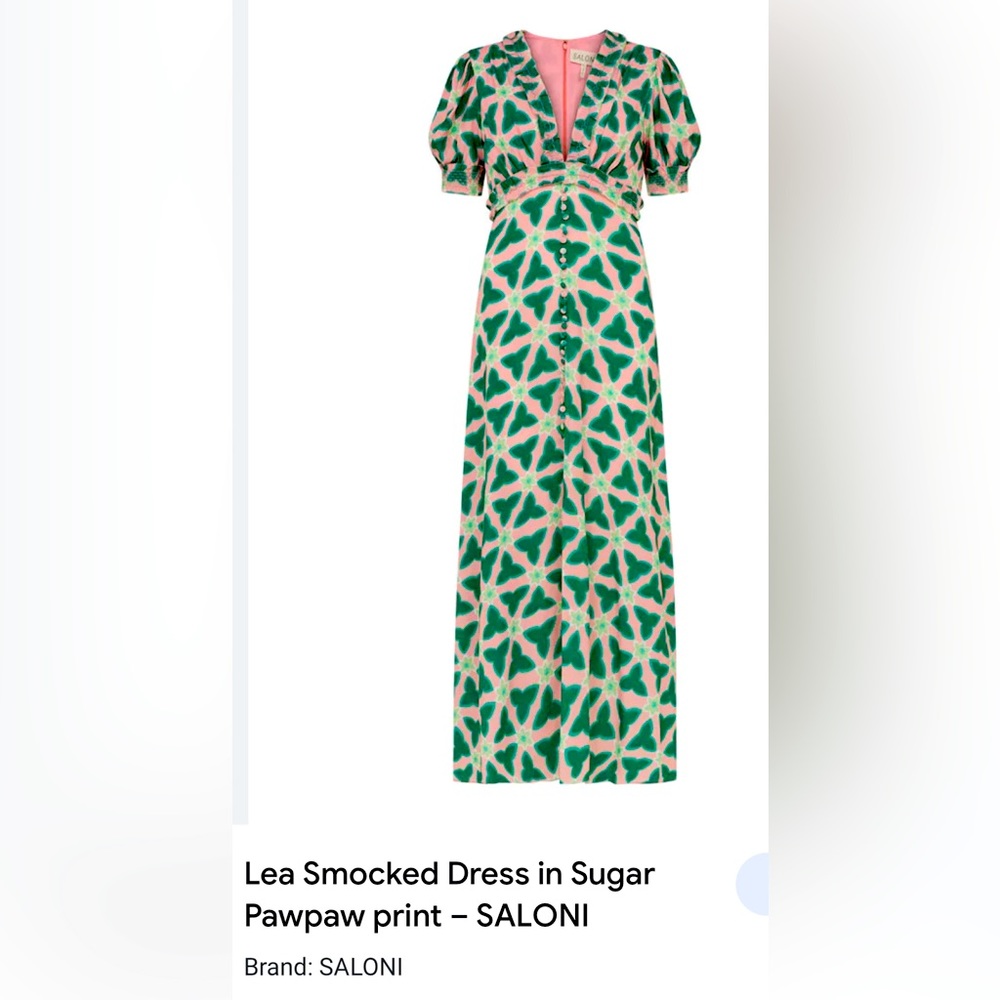 NWT Saloni Dress